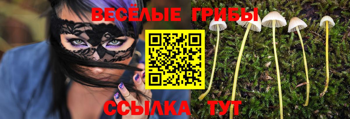 Октябрьский  Псилоцибиновые грибы Psilocybine cubensis  Вход с VPN  Галлюциногенные грибы прущие грибы 